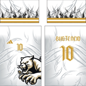 auto draft